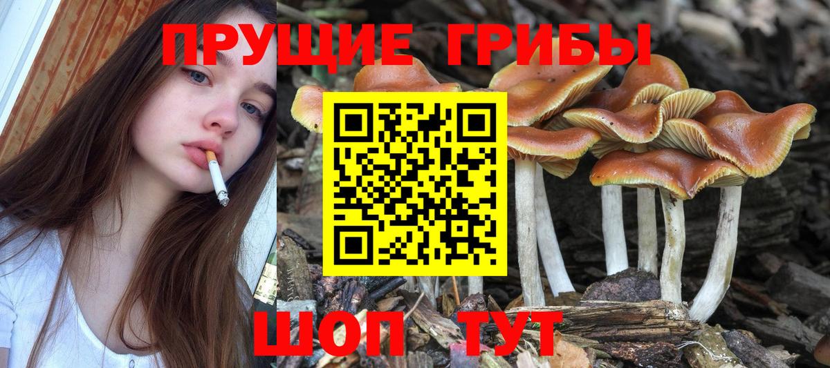 Псилоцибиновые грибы ЛСД Выборг